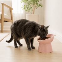 Miaou & Co Gamelle Chat Surélevée Inclinée - Anti-Fatigue Cervicale