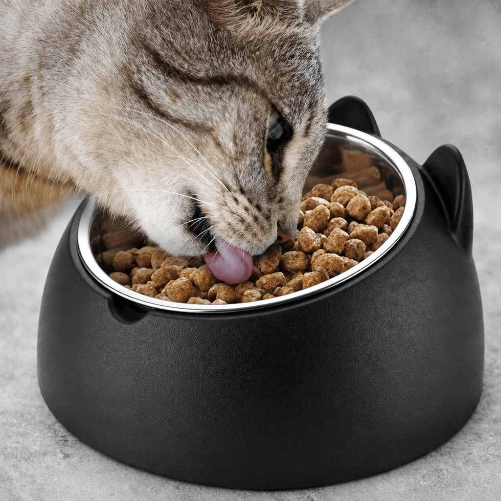 Miaou & Co Gamelle Inox Inclinée Chat