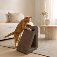 Miaou & Co Griffoir Triangle 2-en-1 pour Chat