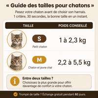 Miaou & Co Harnais Chaton