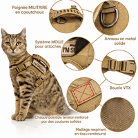 Miaou & Co Harnais Militaire pour Chat - Sangles Ajustables