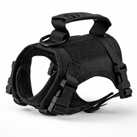 Miaou & Co Harnais Militaire pour Chat - Sangles Ajustables