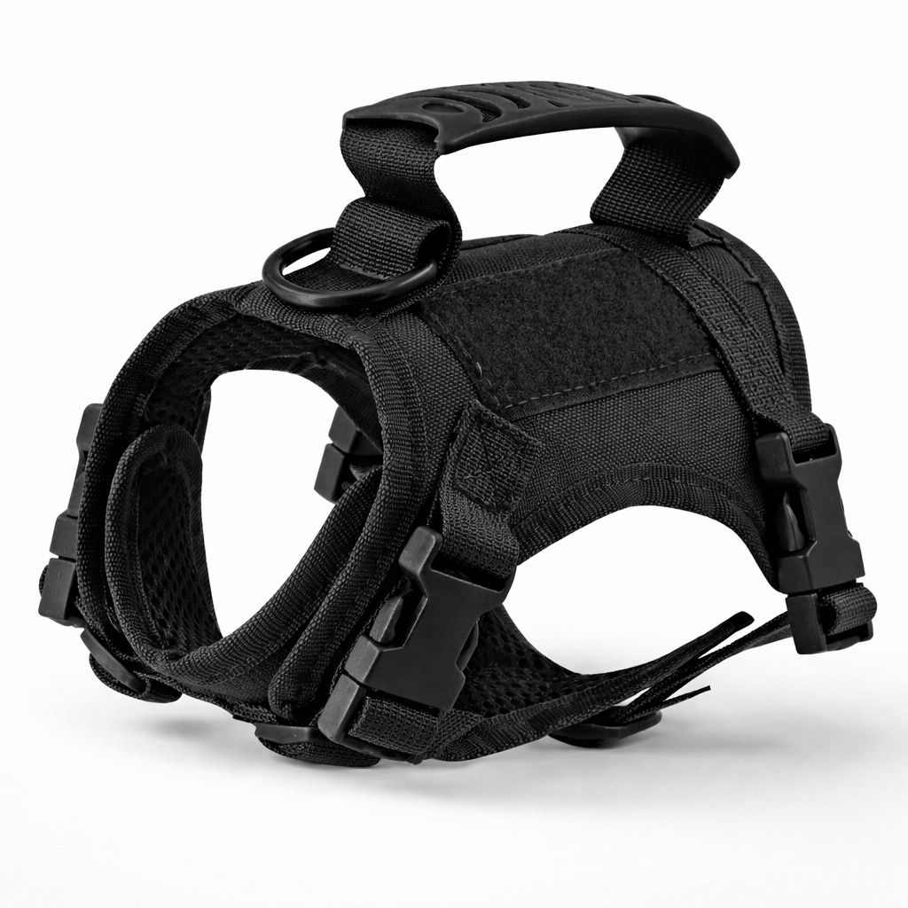 Miaou & Co Harnais Militaire pour Chat - Sangles Ajustables