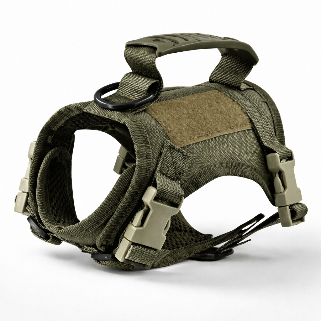 Miaou & Co Harnais Militaire pour Chat - Sangles Ajustables