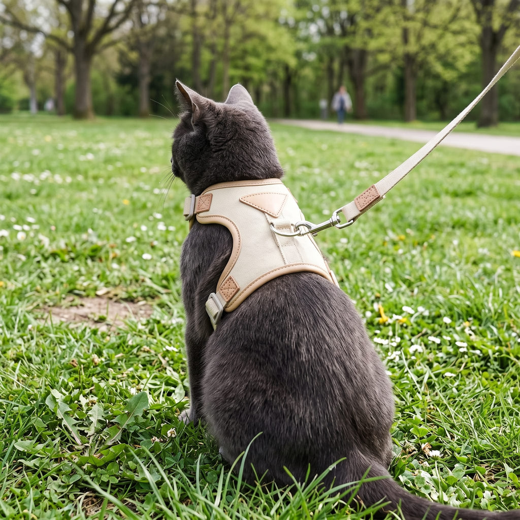 Miaou & Co Harnais pour Chat Anti-Évasion