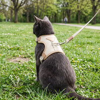 Miaou & Co Harnais pour Chat Anti-Évasion