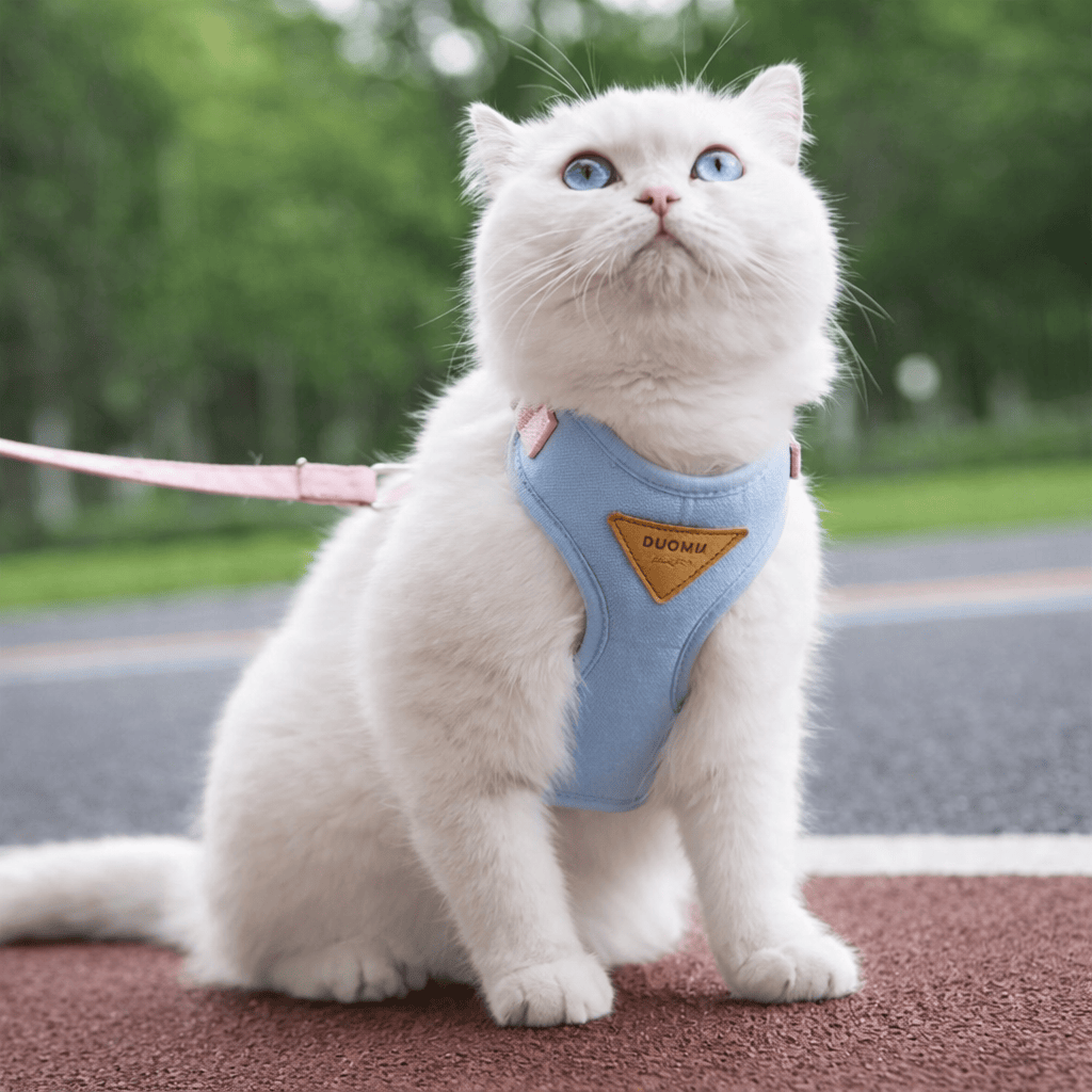 Miaou & Co Harnais pour Chat Anti-Évasion