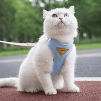 Miaou & Co Harnais pour Chat Anti-Évasion
