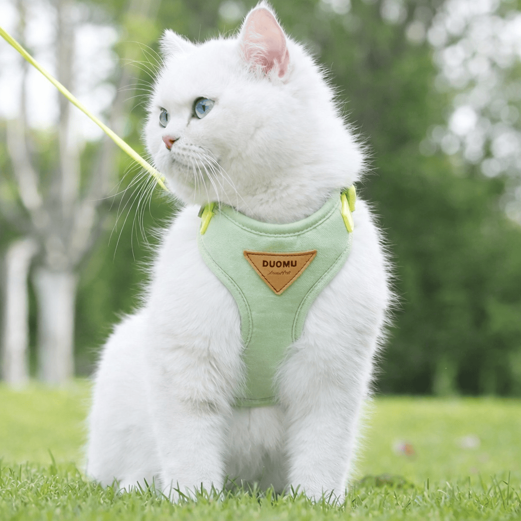 Miaou & Co Harnais pour Chat Anti-Évasion