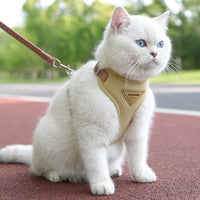 Miaou & Co Harnais pour Chat Anti-Évasion