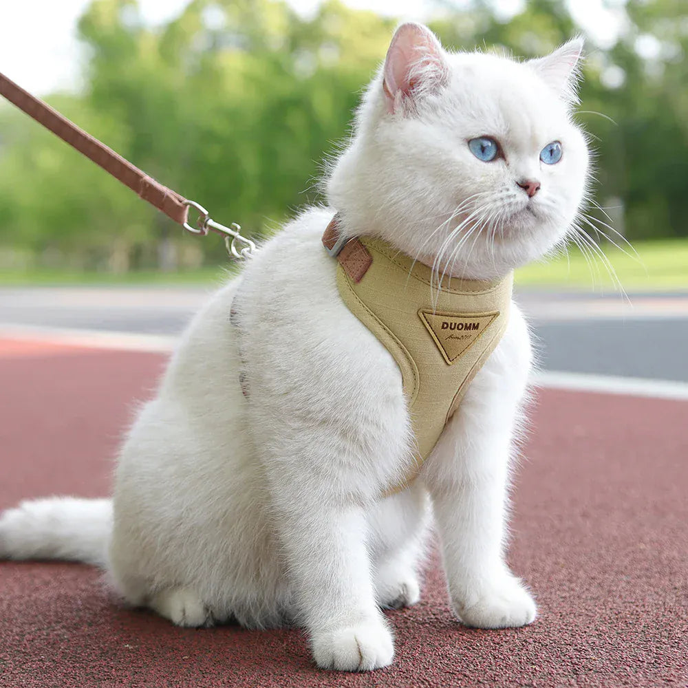 Miaou & Co Harnais pour Chat Anti-Évasion