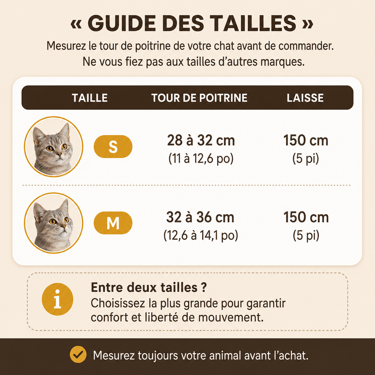 Miaou & Co Harnais pour Chat Respirant Securisé Anti-Fuite