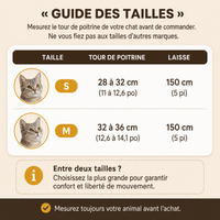 Miaou & Co Harnais pour Chat Respirant Securisé Anti-Fuite