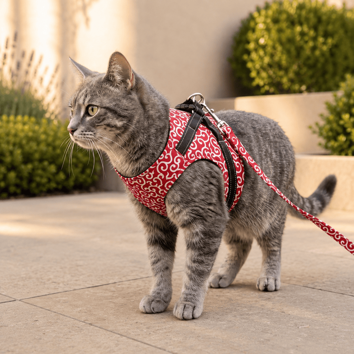 Miaou & Co Harnais Veste Chat - Confort Enveloppant pour Balades
