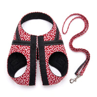 Miaou & Co Harnais Veste Chat - Confort Enveloppant pour Balades