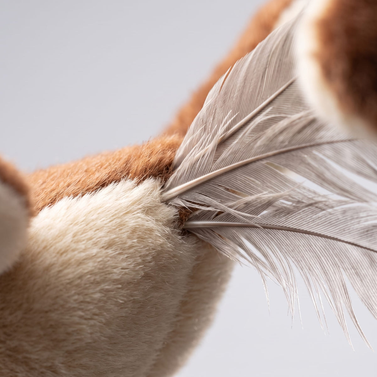Miaou & Co Jouet pour Chat Oiseau qui Vole - Simulation de Vol Anti-Ennui