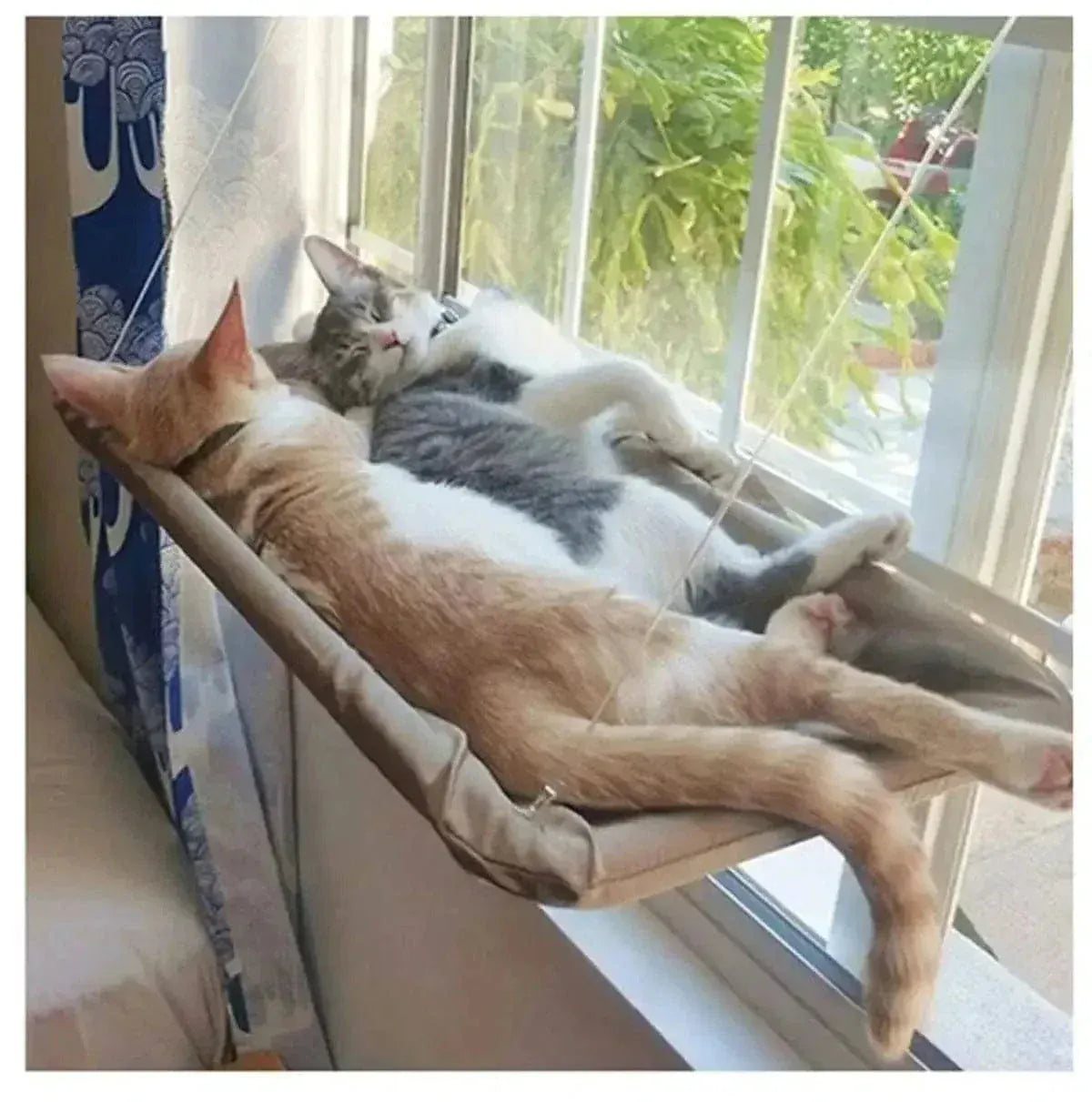Miaou & Co Lit pour Chat en Hauteur à Ventouses - Sans Perçage