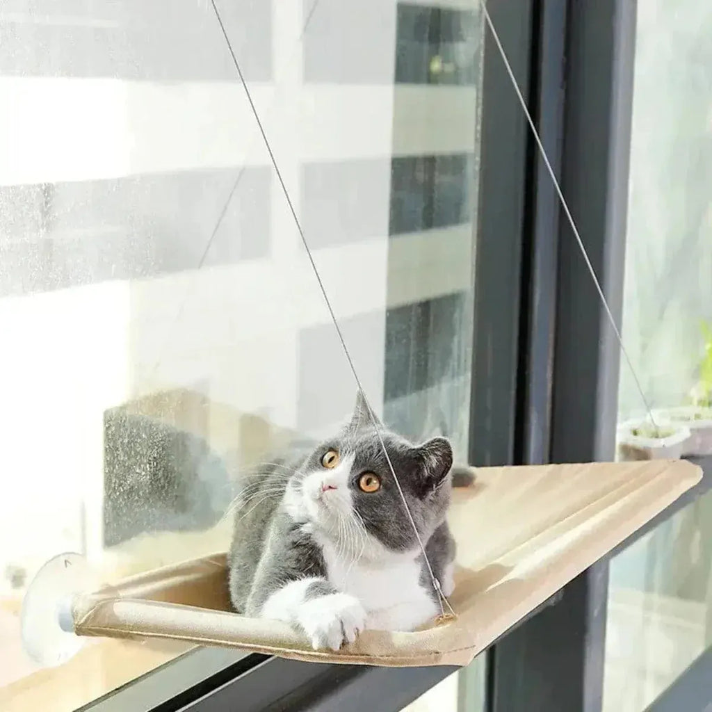 Miaou & Co Lit pour Chat en Hauteur à Ventouses - Sans Perçage