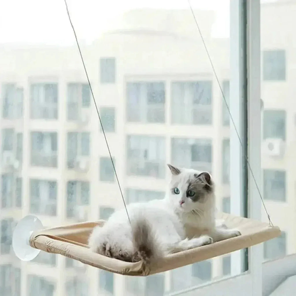Miaou & Co Lit pour Chat en Hauteur à Ventouses - Sans Perçage