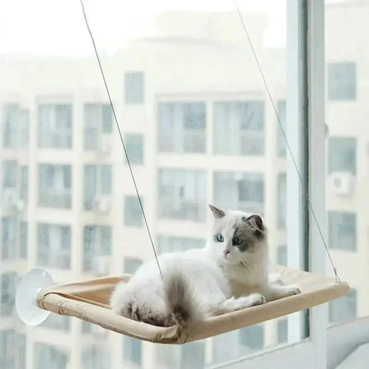 Miaou & Co Lit pour Chat en Hauteur à Ventouses - Sans Perçage