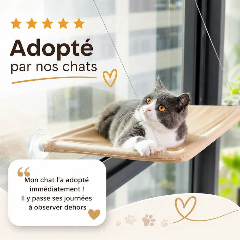 Miaou & Co Lit pour Chat en Hauteur à Ventouses - Sans Perçage