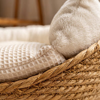 Miaou & Co Panier Design pour Chat