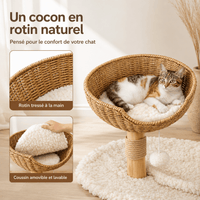 Miaou & Co Petit Arbre à Chat avec Niche Intégrée