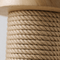 Miaou & Co Poteau Griffoir pour Chat