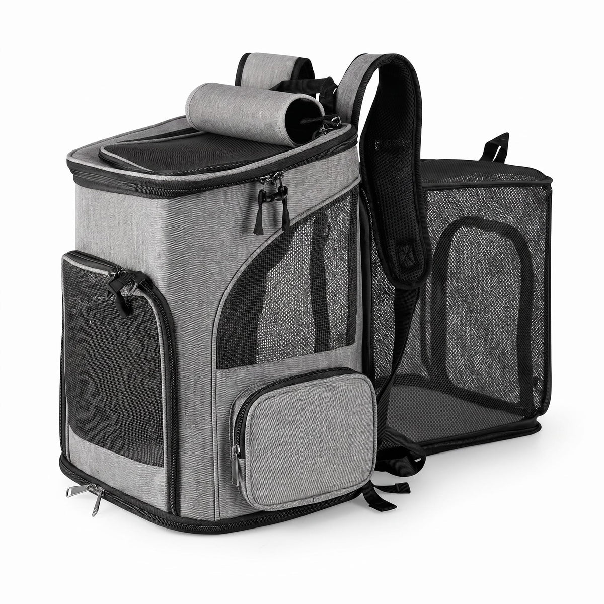 Miaou & Co Sac à Dos de Transport pour Chat Randonnée Extensible