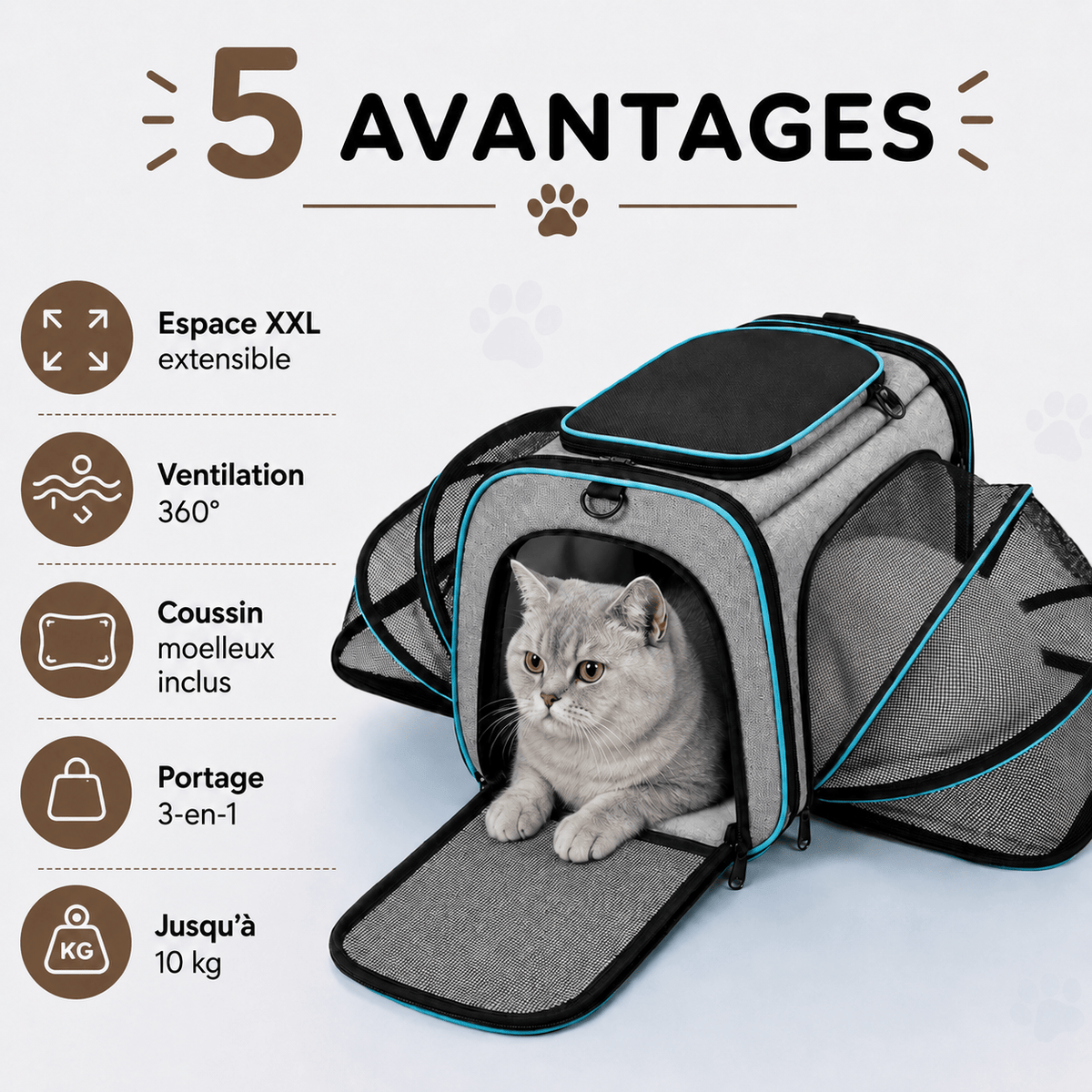 Miaou & Co Sac de Transport pour chat Extensible