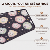 Miaou & Co Tapis Rafraîchissant pour Chat sans Gel