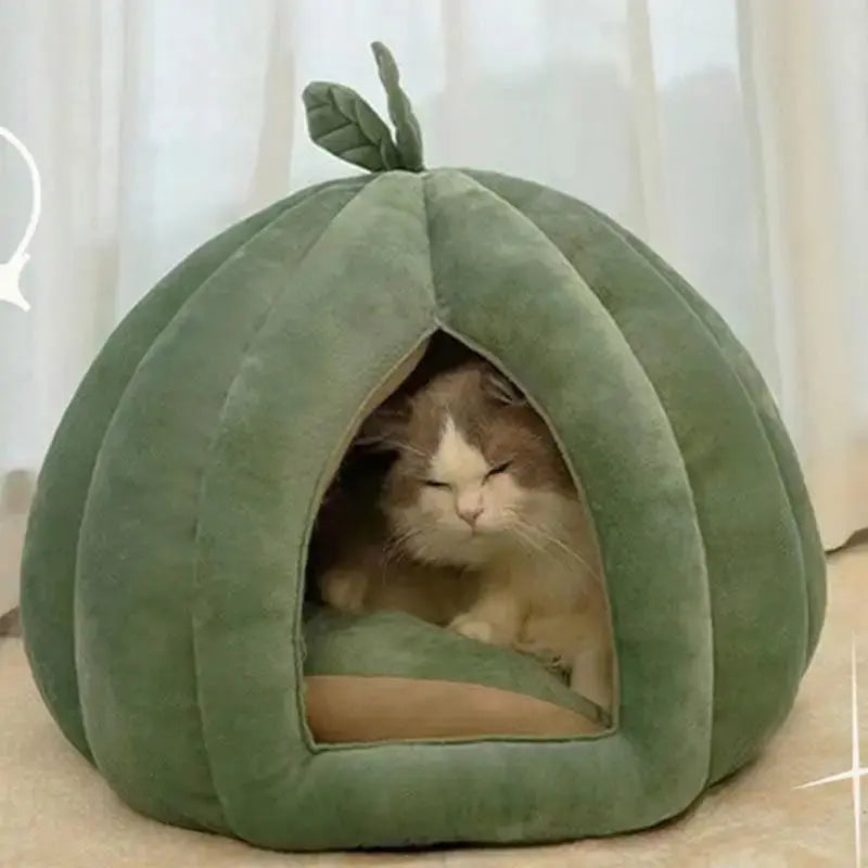 Panier Citrouille Semi-Fermé pour Chat - Cocon Design Douillet 2 Tailles S et M | Miaou&Co