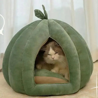 Panier Citrouille Semi-Fermé pour Chat - Cocon Design Douillet 2 Tailles S et M | Miaou&Co