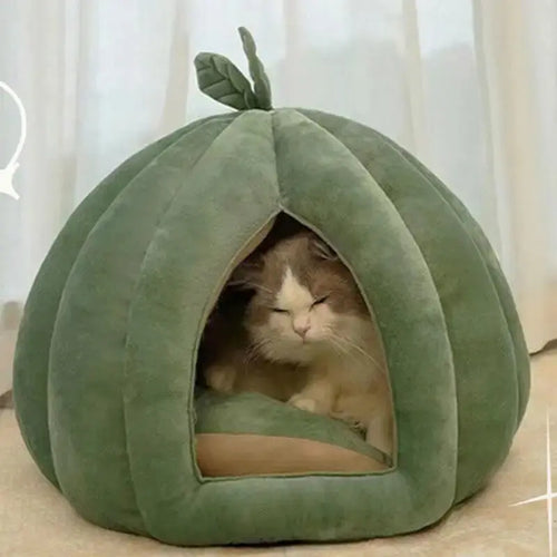 Panier Citrouille Semi-Fermé pour Chat - Cocon Design Douillet 2 Tailles S et M | Miaou&Co