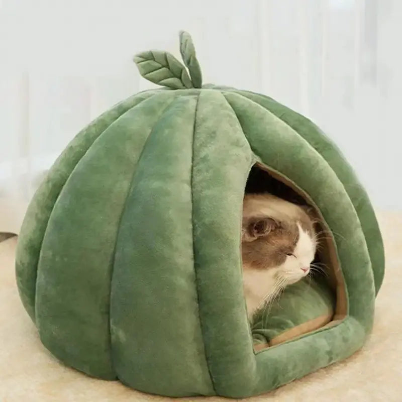 Panier Citrouille Semi-Fermé pour Chat - Cocon Design Douillet 2 Tailles S et M | Miaou&Co