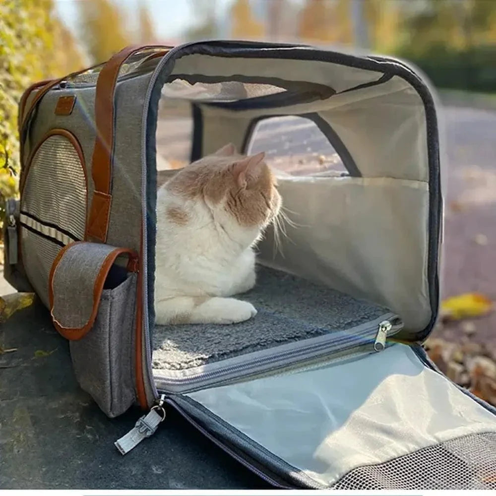 Sac de Transport pour Chat jusqu'à 10kg Maintien Renforcé - Idéal Avion et Vétérinaire | Miaou&Co